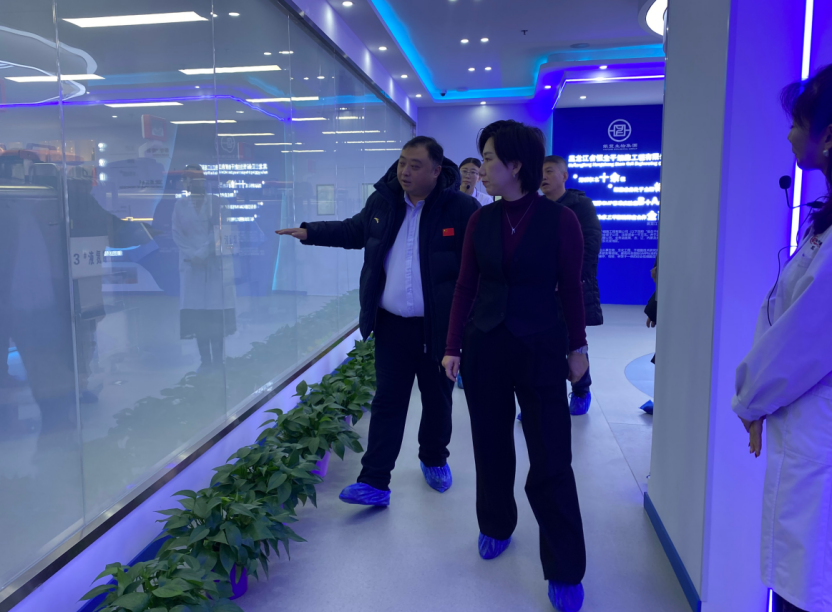 1766037772438541.png image.png