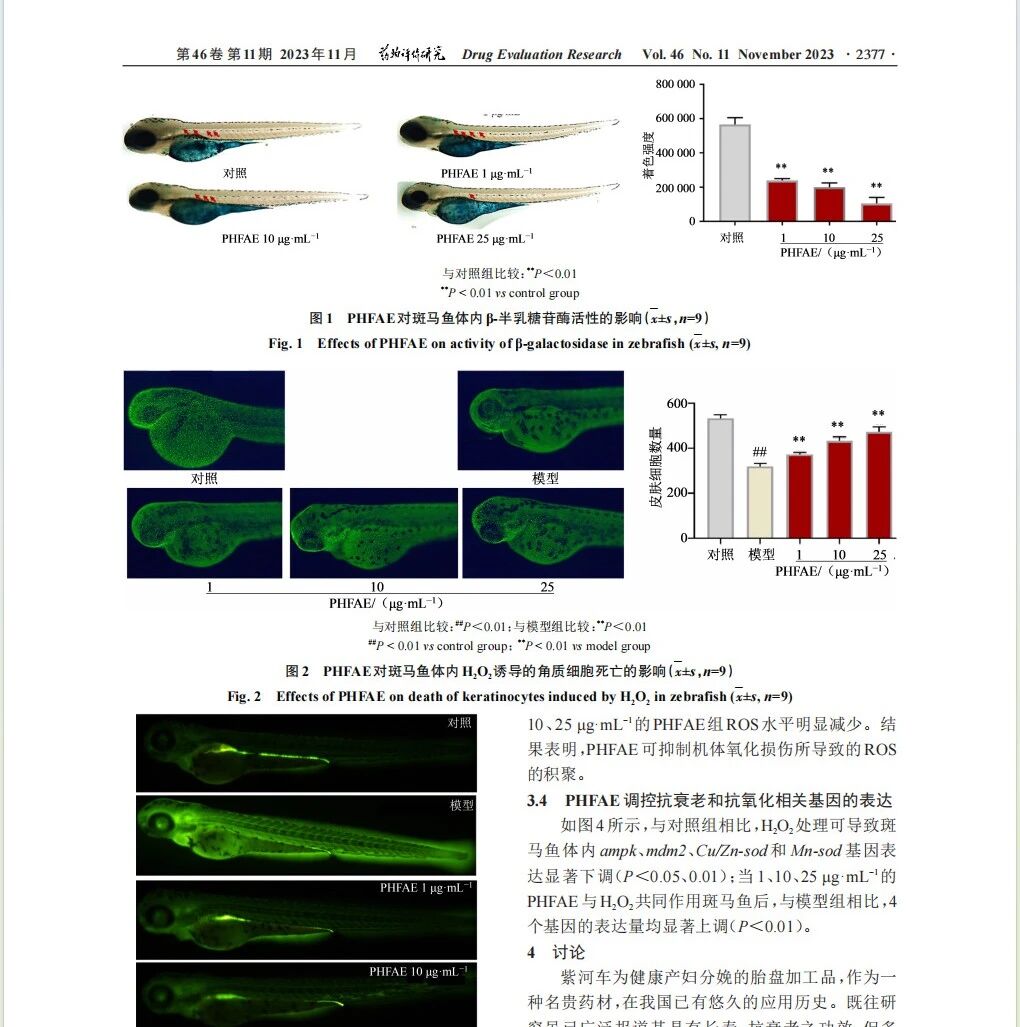 1774494432707443.jpg 4.jpg