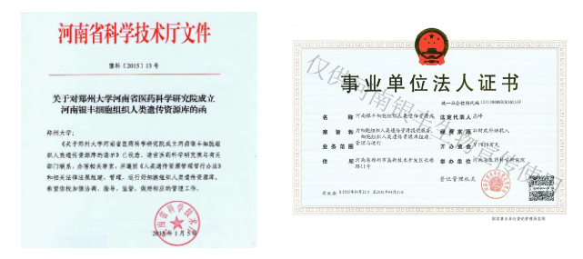 1775199383678904.png 1.png